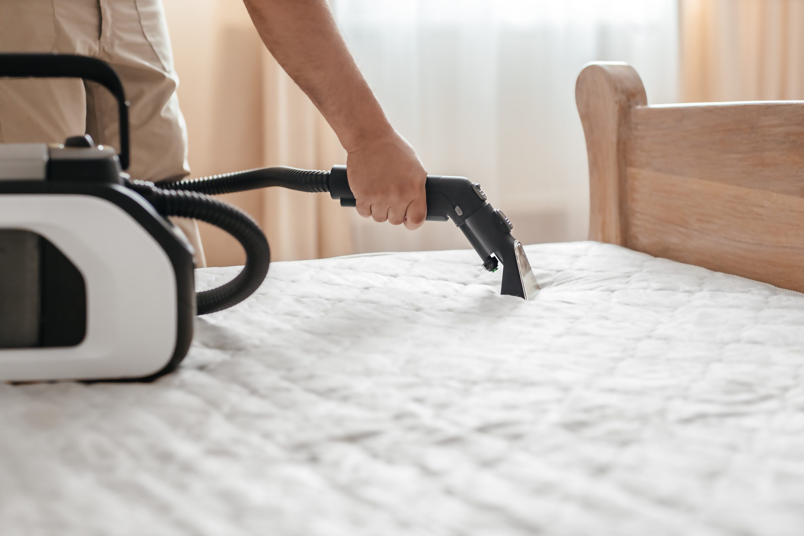 Close-up of professional mattress cleaning with extraction vacuum cleaner in bedroom. Deep cleaning and sanitizing mattress surface at home.